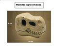 Brinquedo Escava Premio Fóssil Dinossauro Explorar Educativo